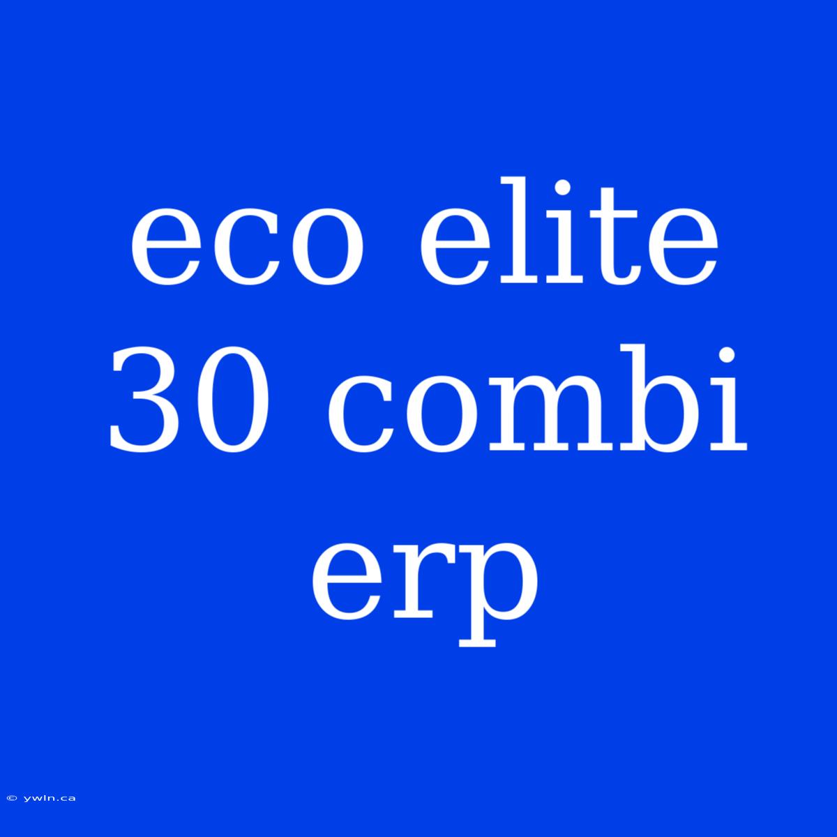 Eco Elite 30 Combi Erp