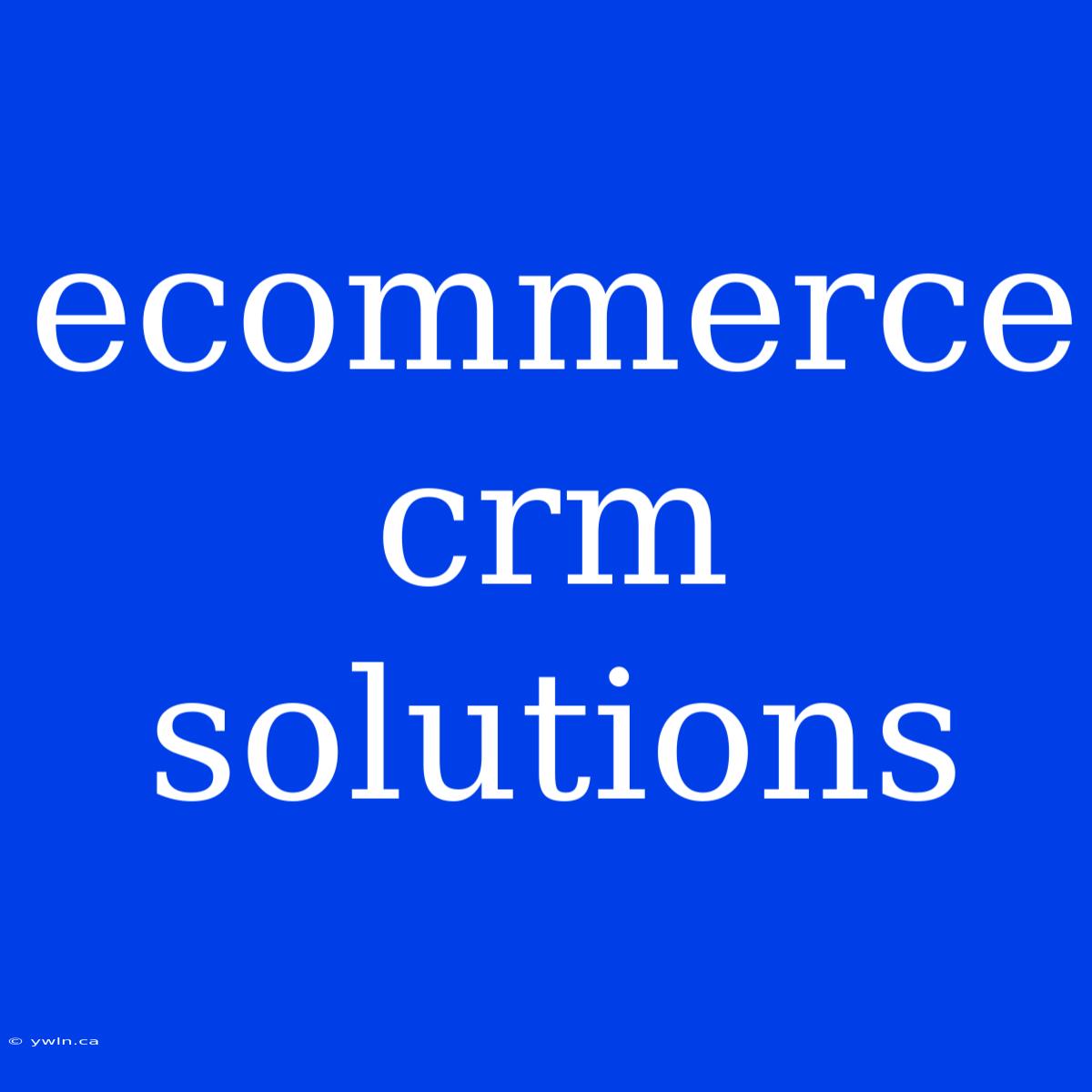 Ecommerce Crm Solutions