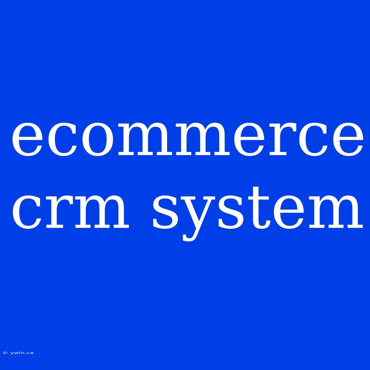 Ecommerce Crm System