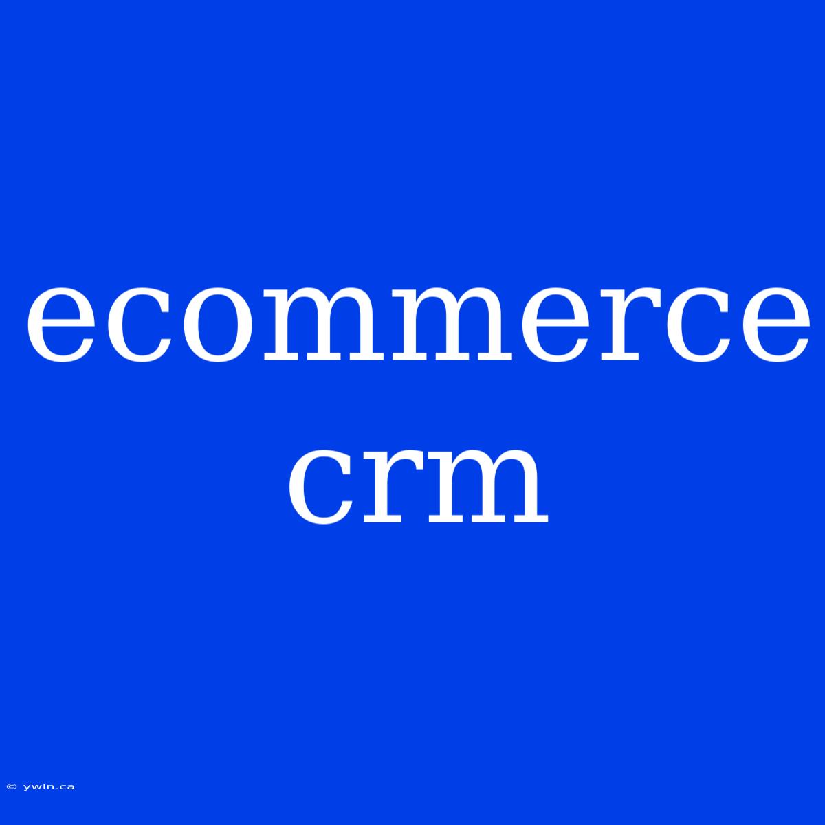 Ecommerce Crm