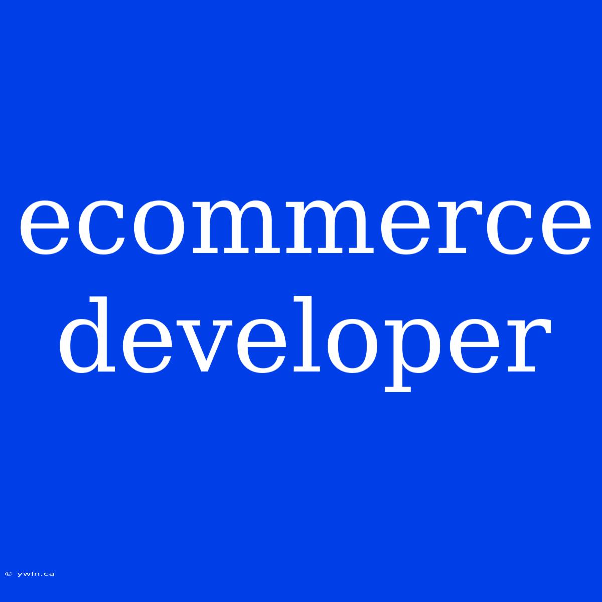 Ecommerce Developer