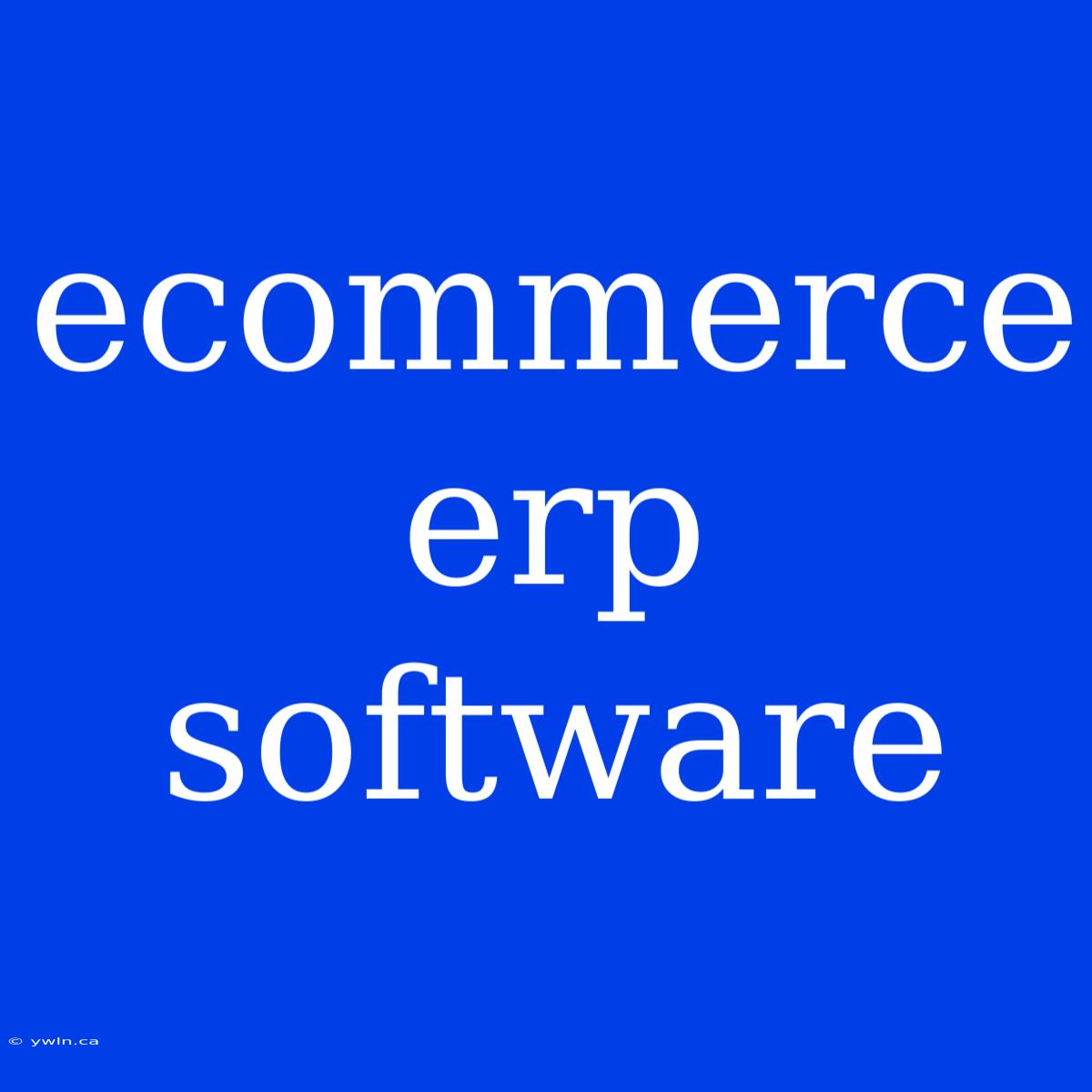 Ecommerce Erp Software