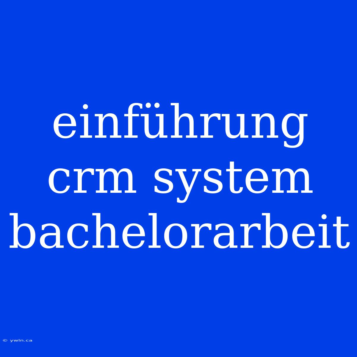 Einführung Crm System Bachelorarbeit