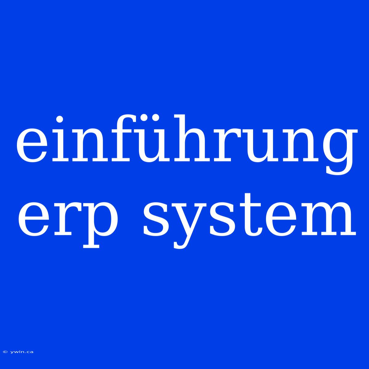 Einführung Erp System