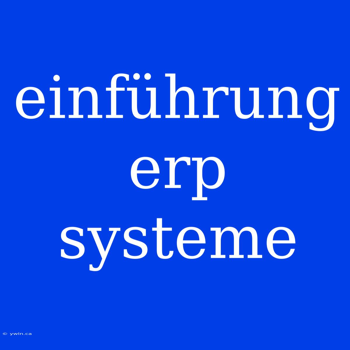 Einführung Erp Systeme