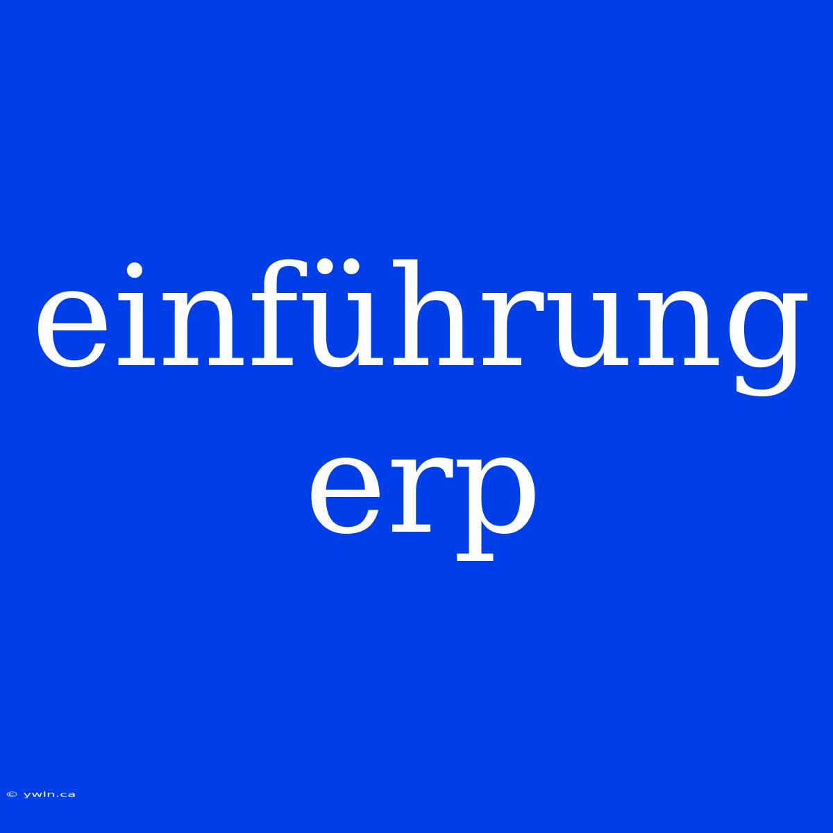 Einführung Erp