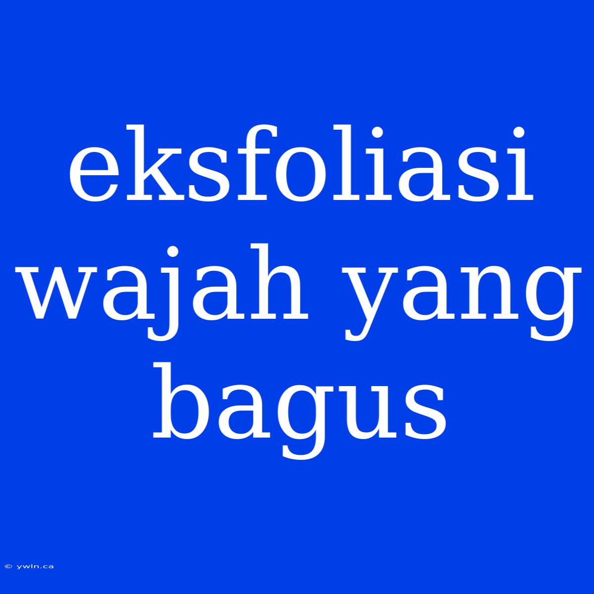 Eksfoliasi Wajah Yang Bagus