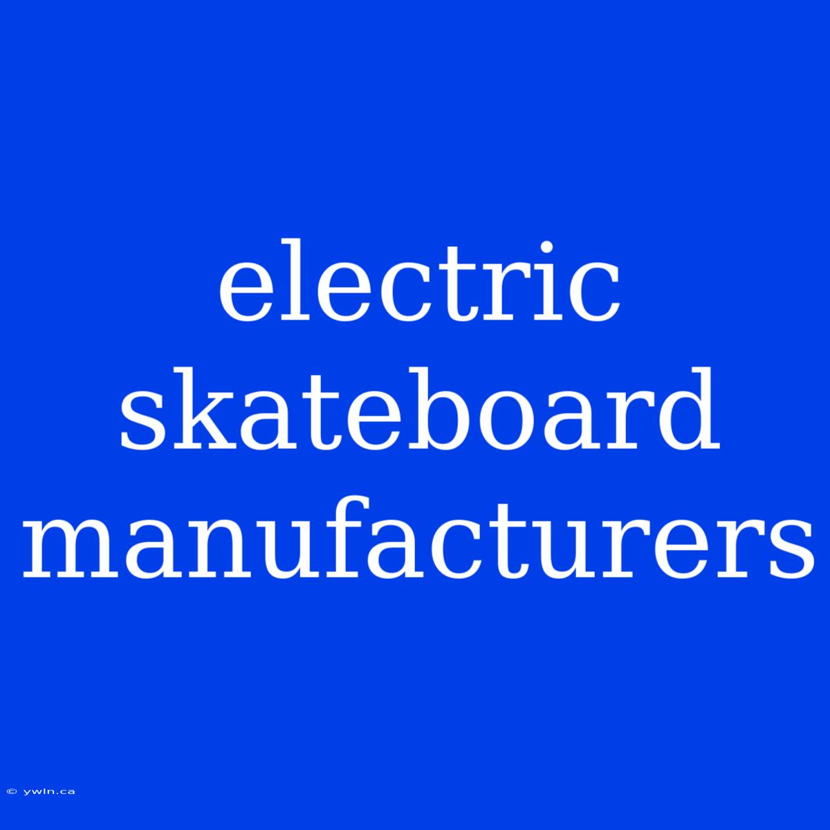 Electric Skateboard Manufacturers