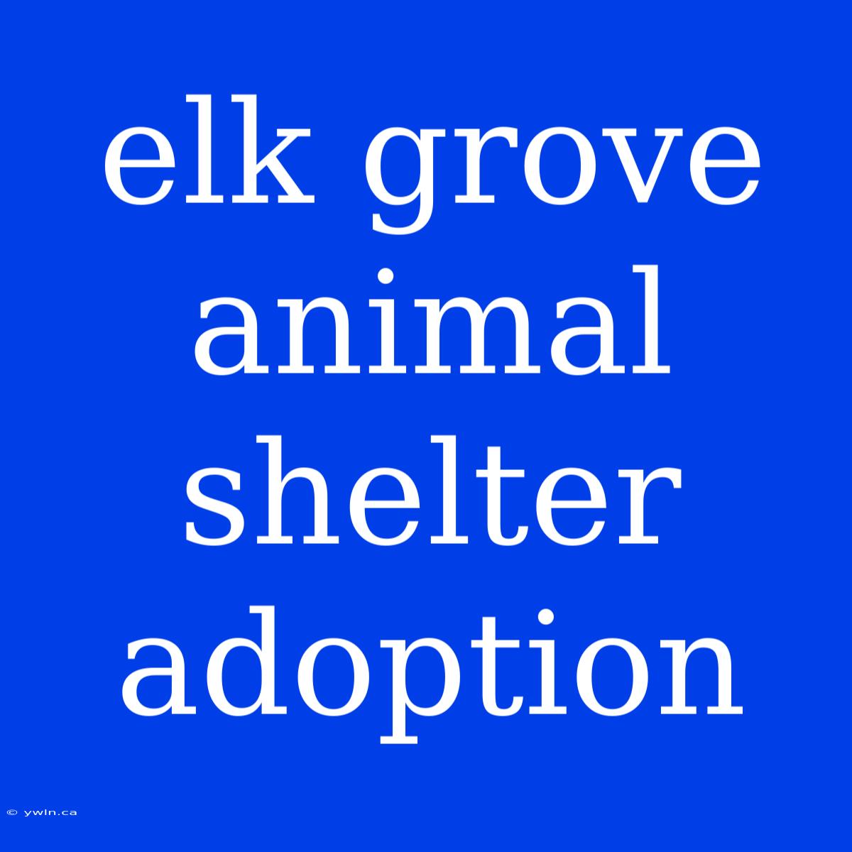 Elk Grove Animal Shelter Adoption