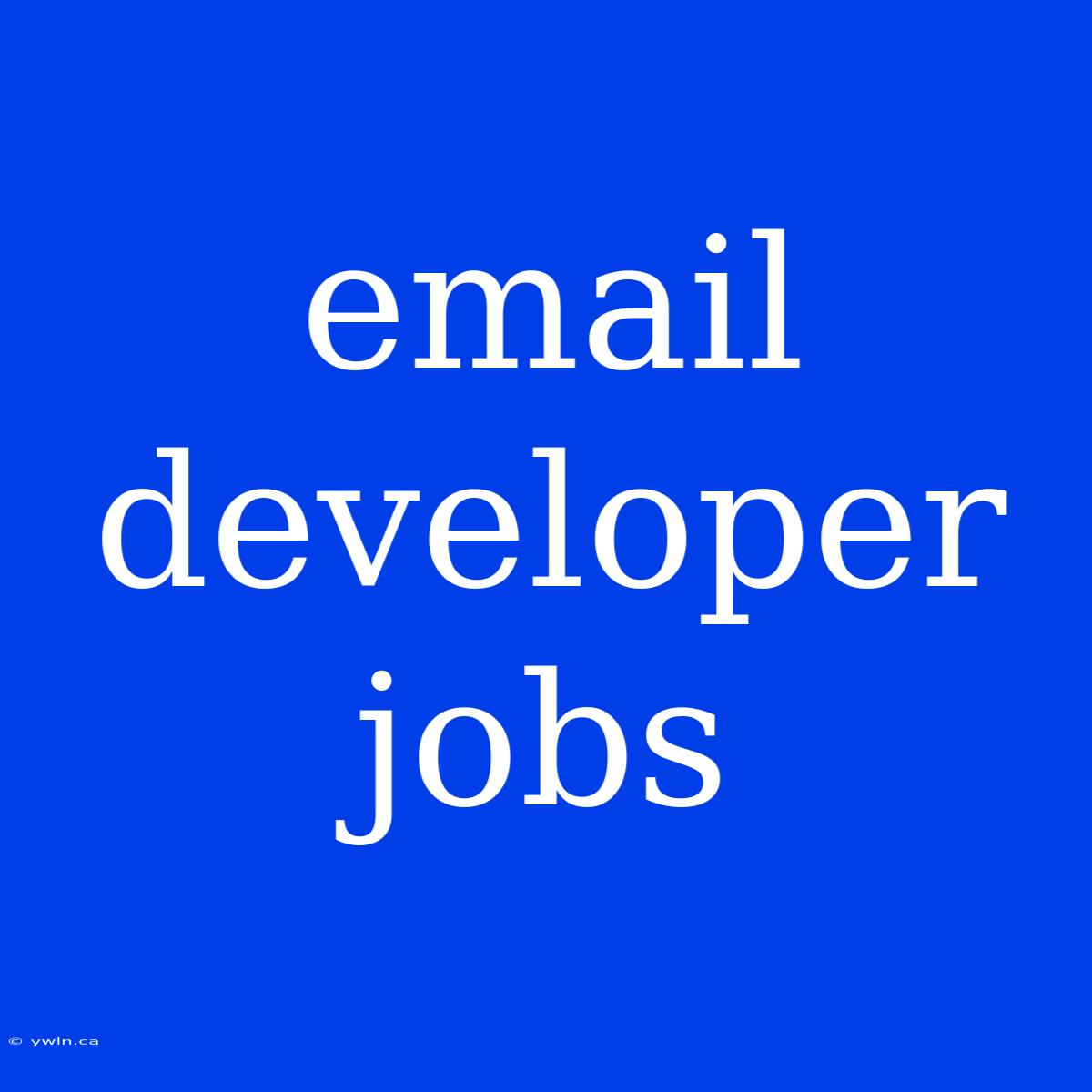 Email Developer Jobs