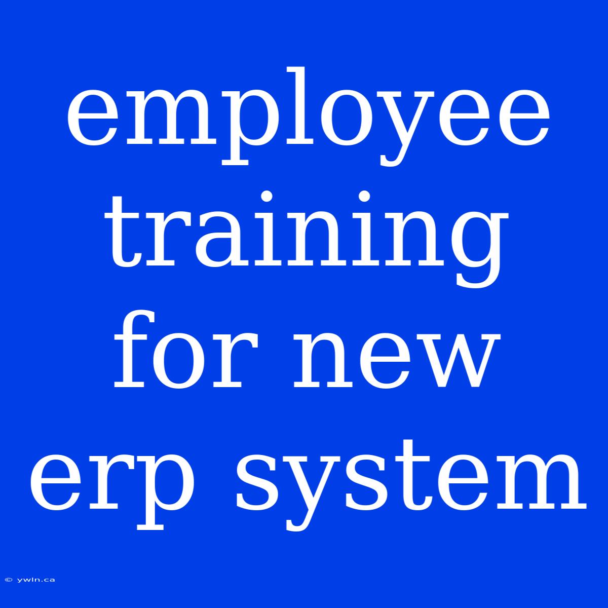 Employee Training For New Erp System