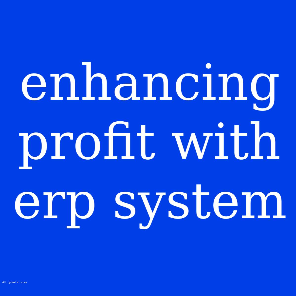 Enhancing Profit With Erp System