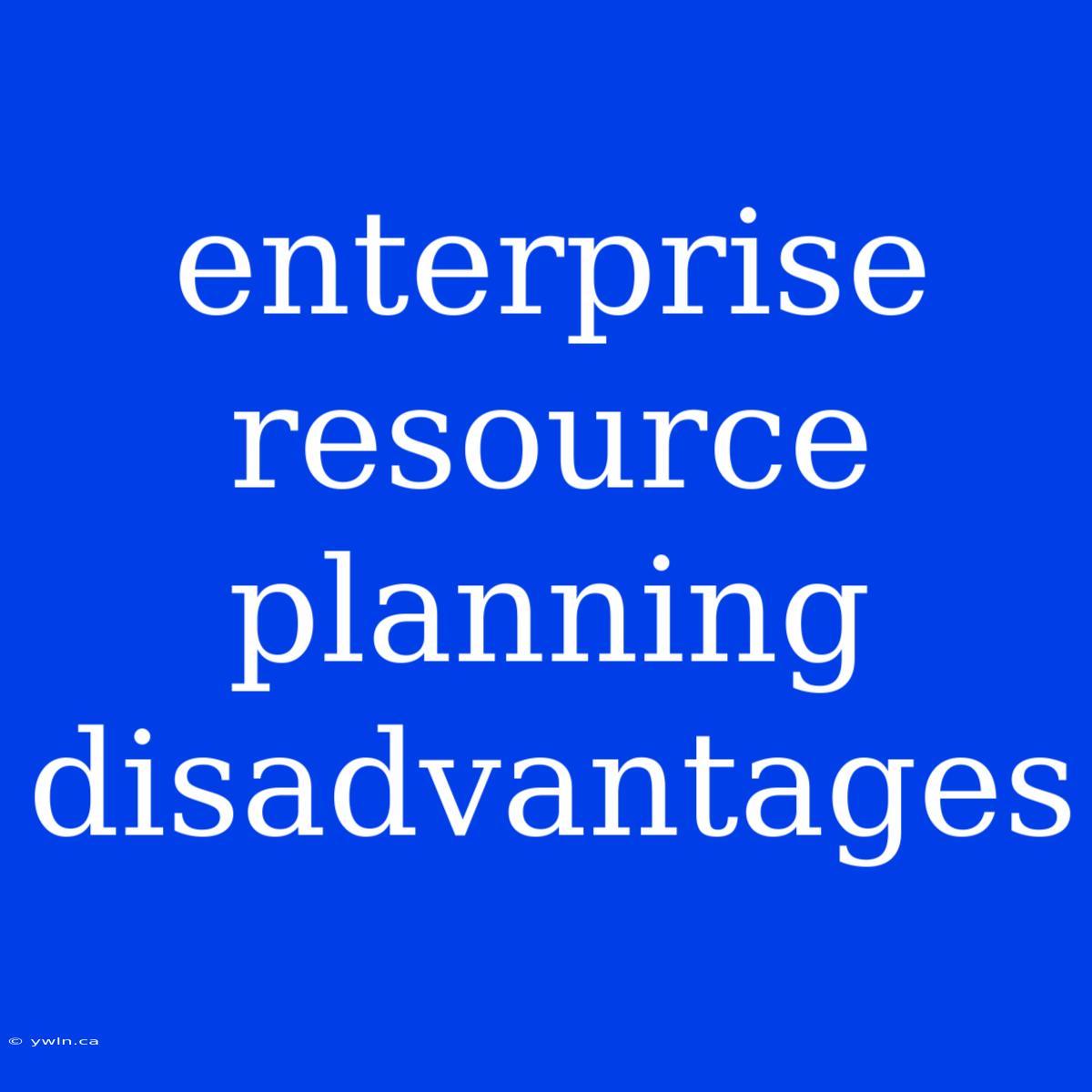 Enterprise Resource Planning Disadvantages