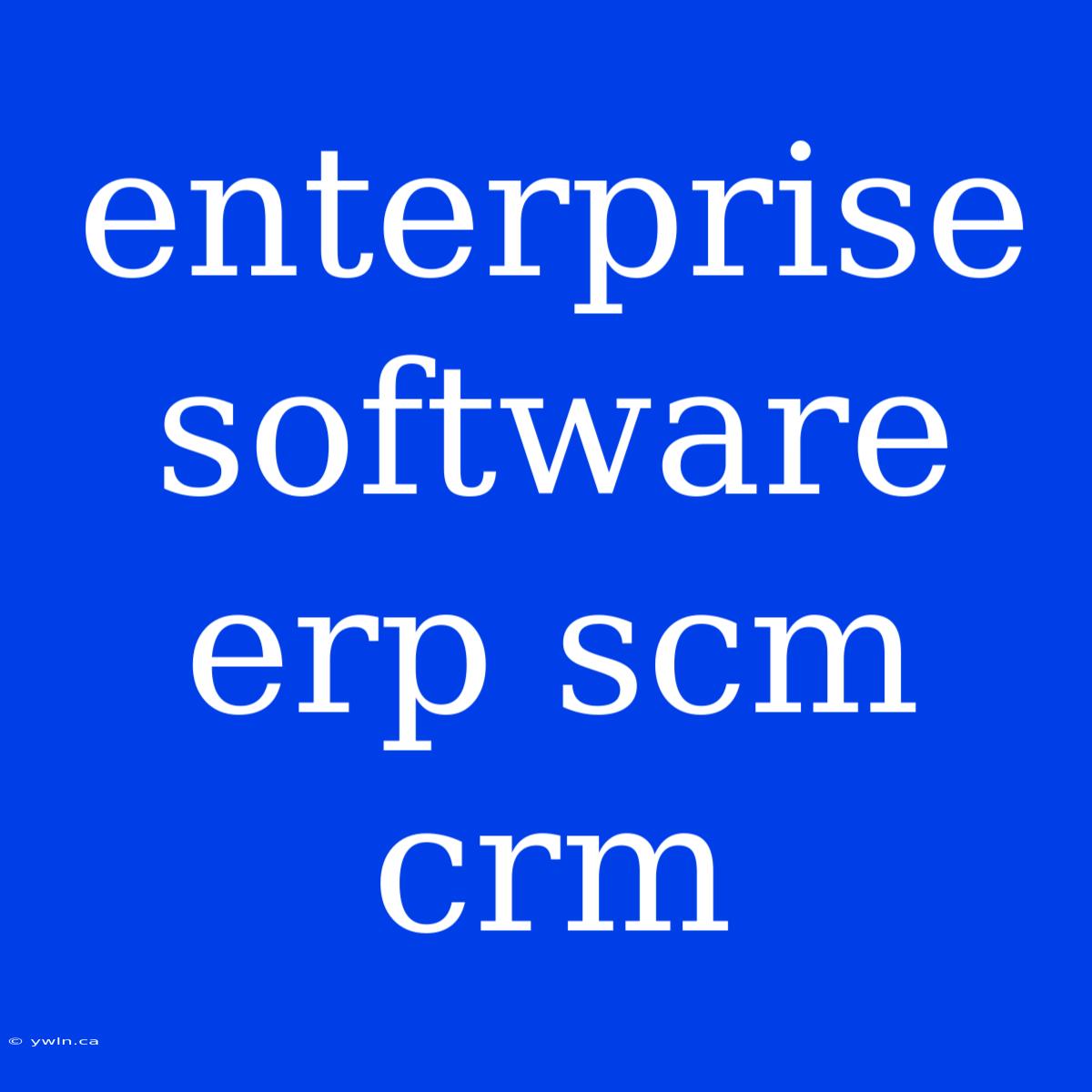 Enterprise Software Erp Scm Crm