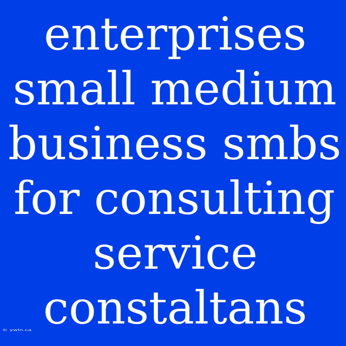 Enterprises Small Medium Business Smbs For Consulting Service Constaltans