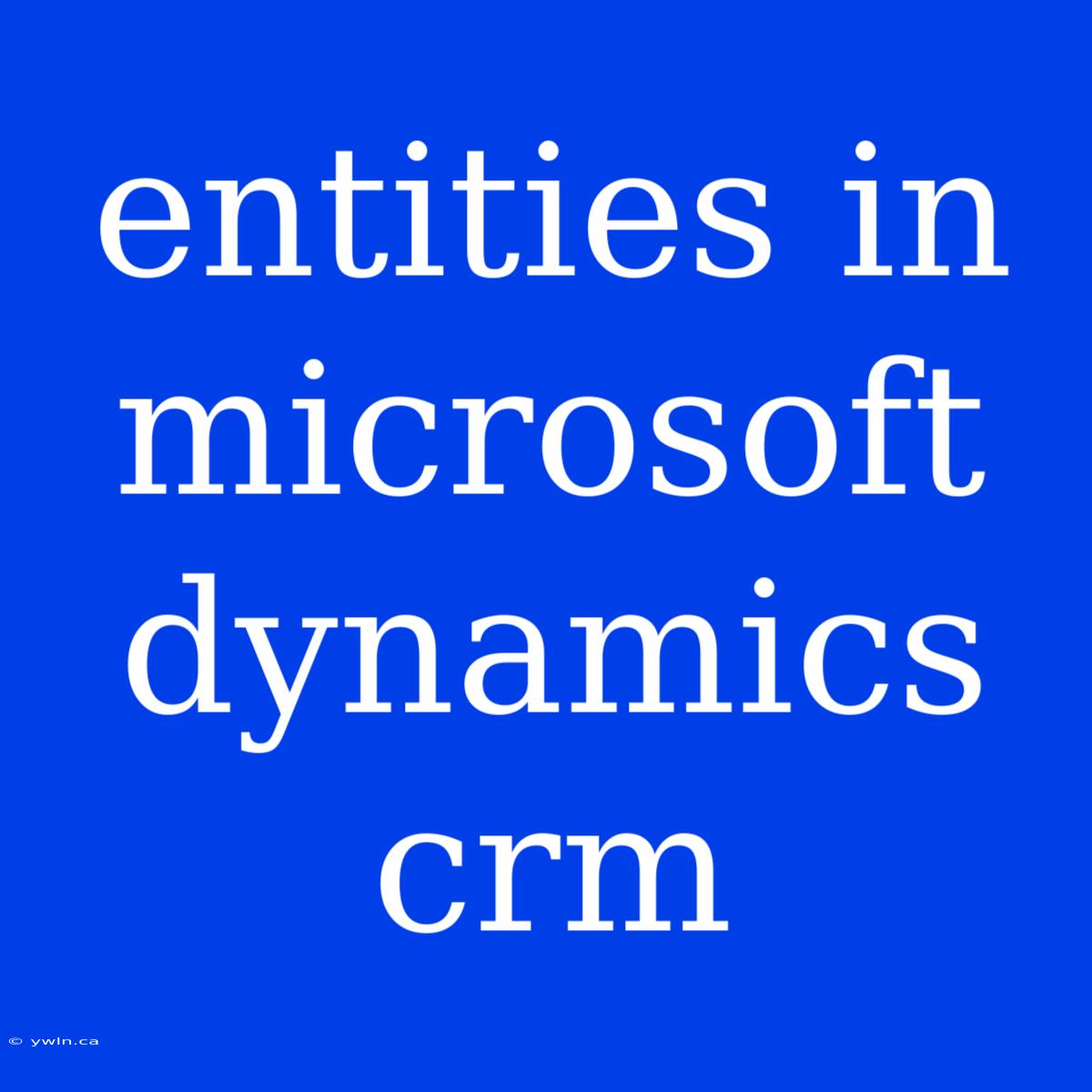 Entities In Microsoft Dynamics Crm