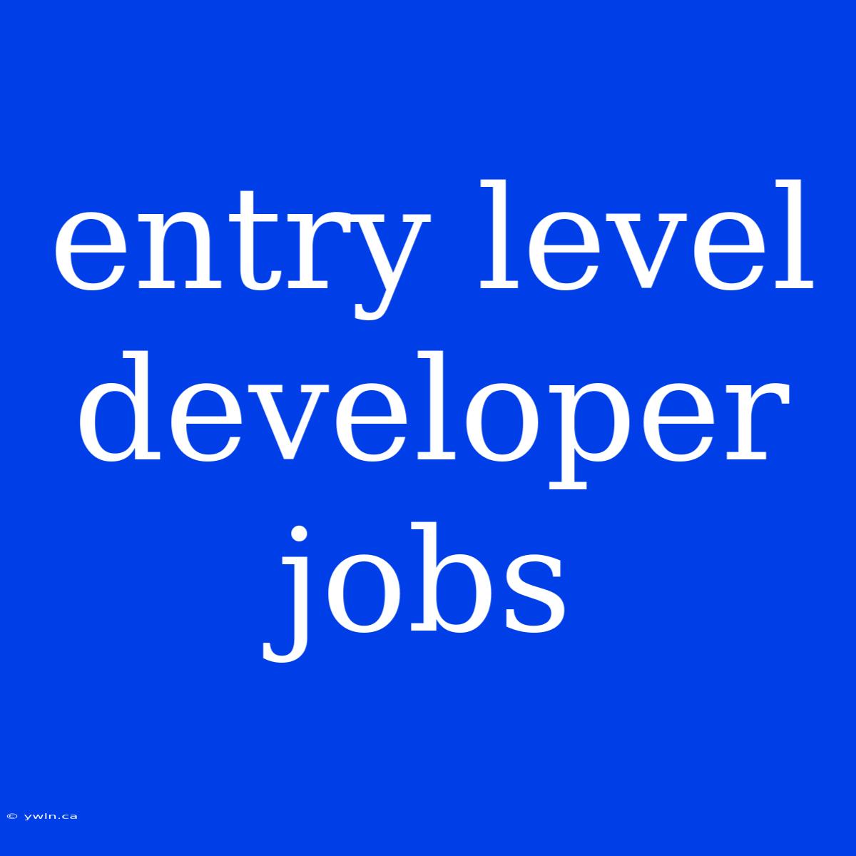 Entry Level Developer Jobs