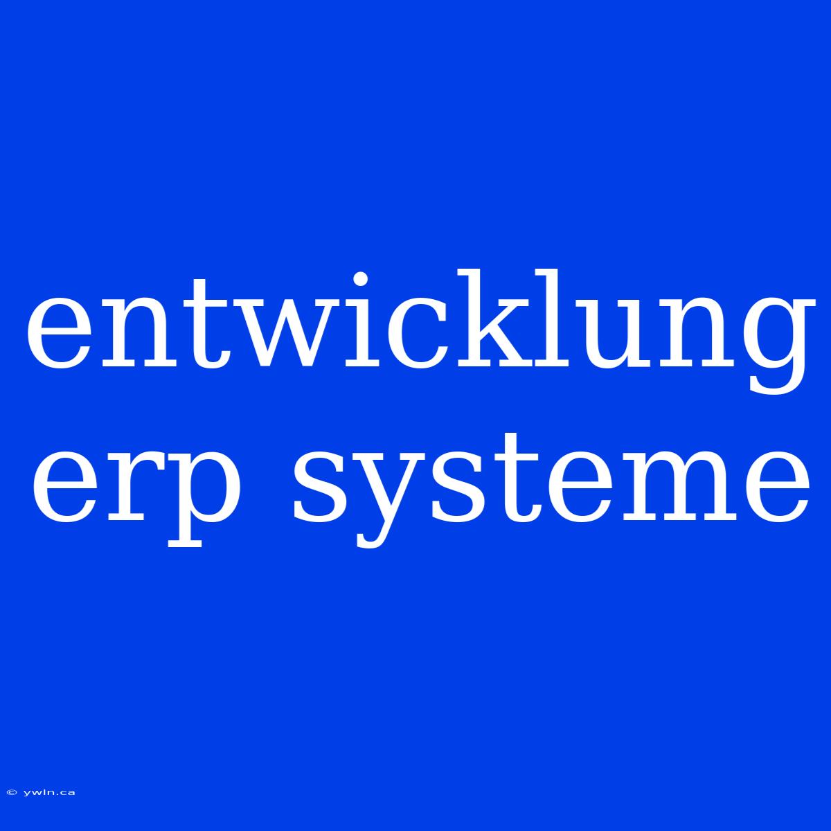 Entwicklung Erp Systeme