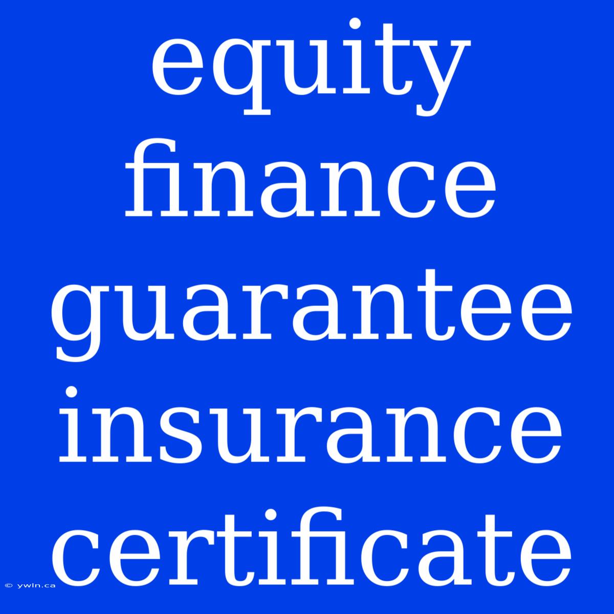 Equity Finance Guarantee Insurance Certificate