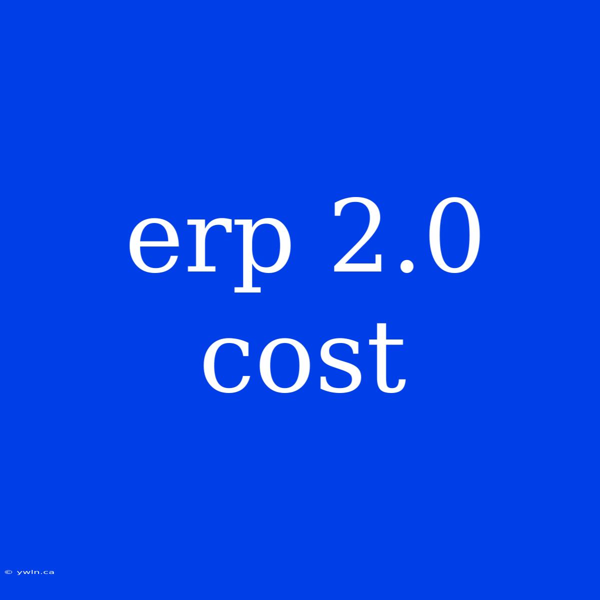 Erp 2.0 Cost