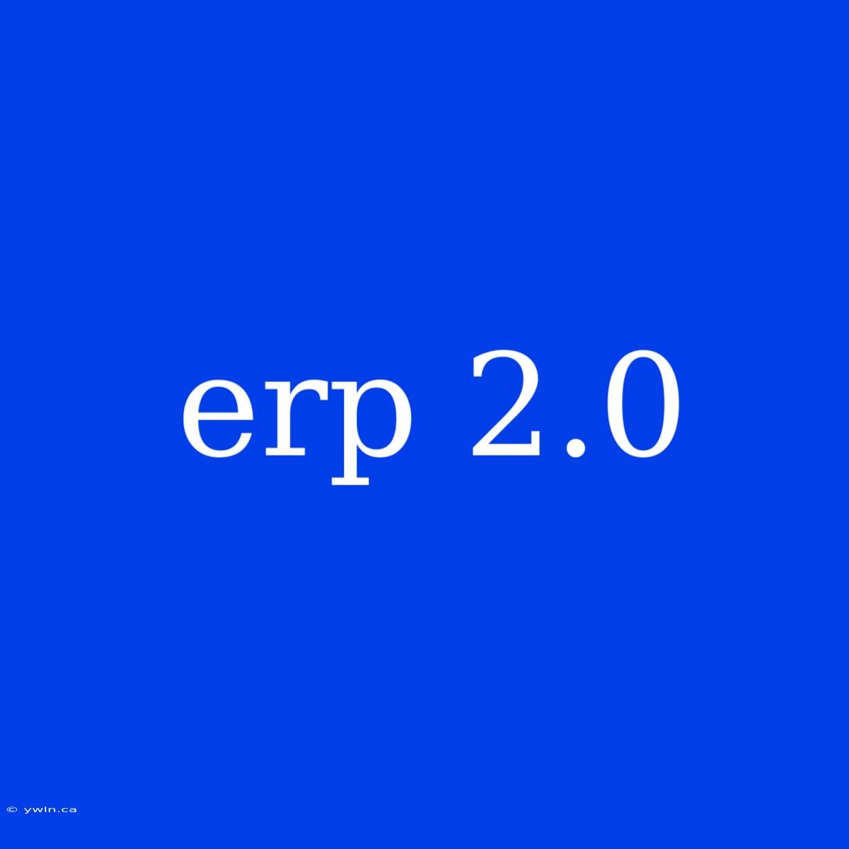 Erp 2.0