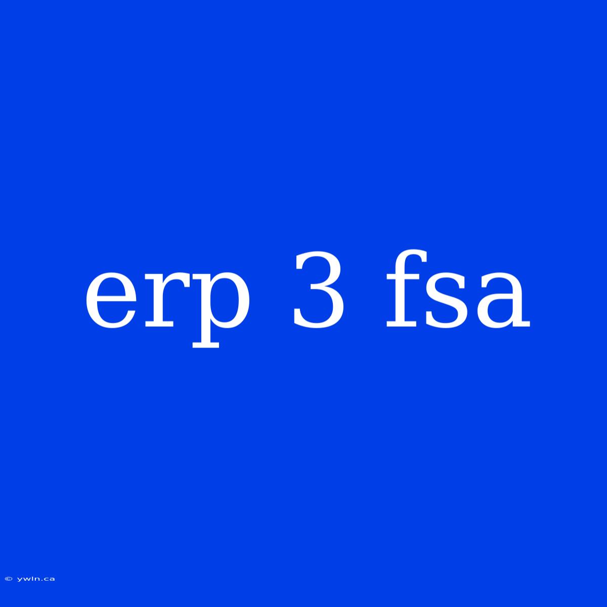 Erp 3 Fsa