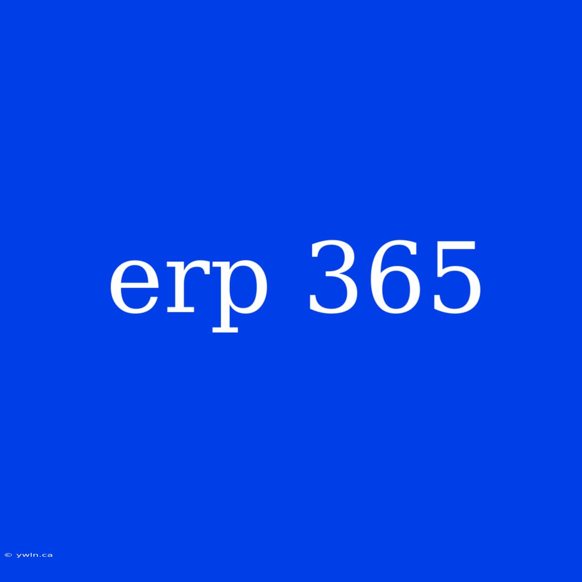 Erp 365