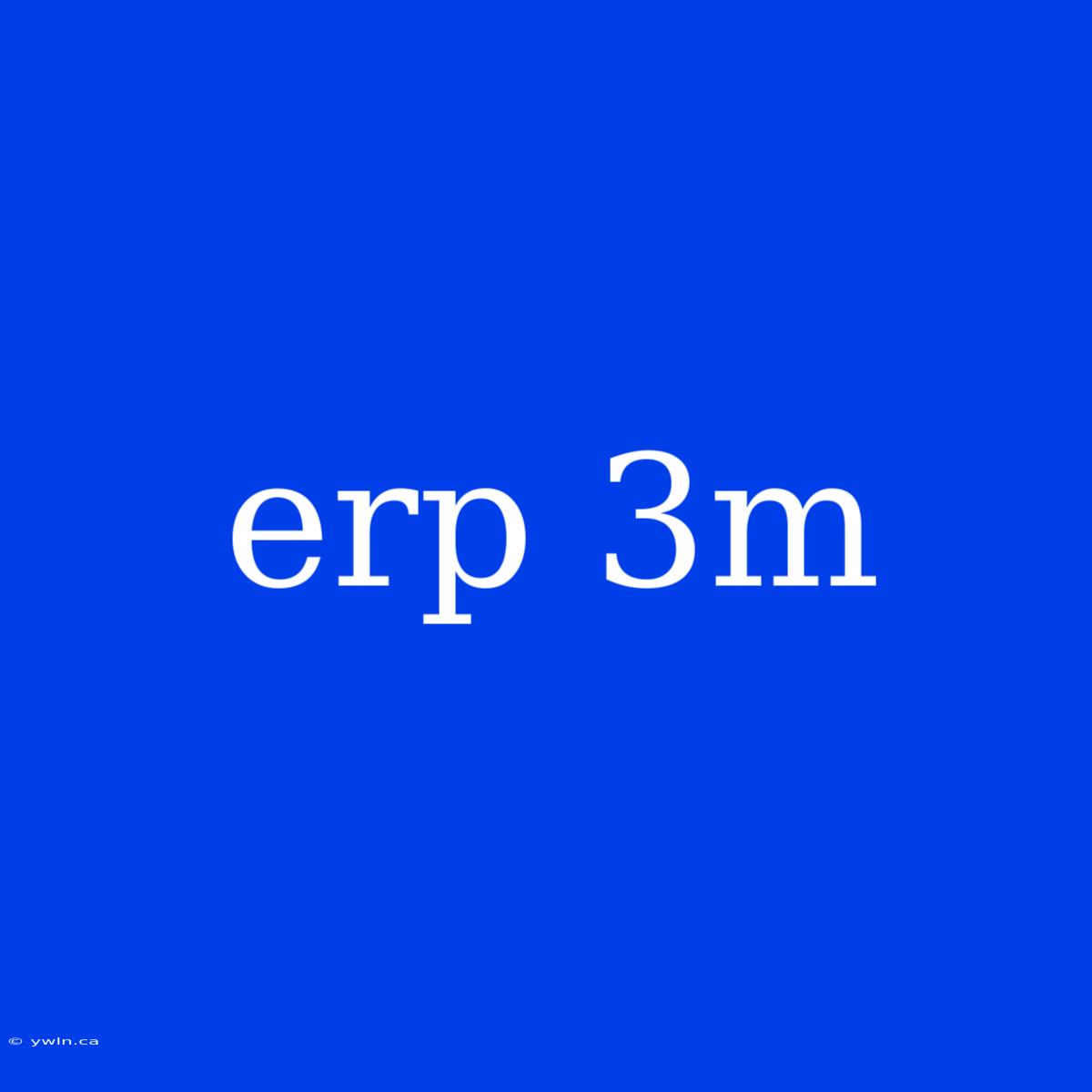 Erp 3m