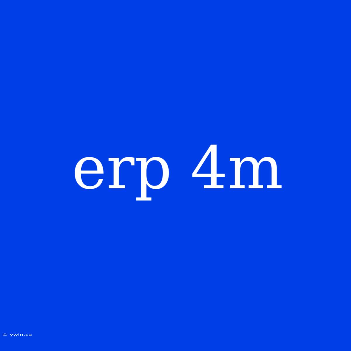 Erp 4m