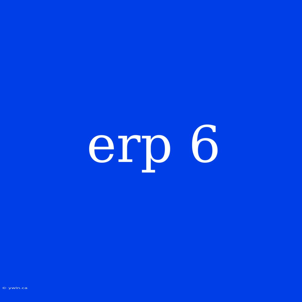 Erp 6