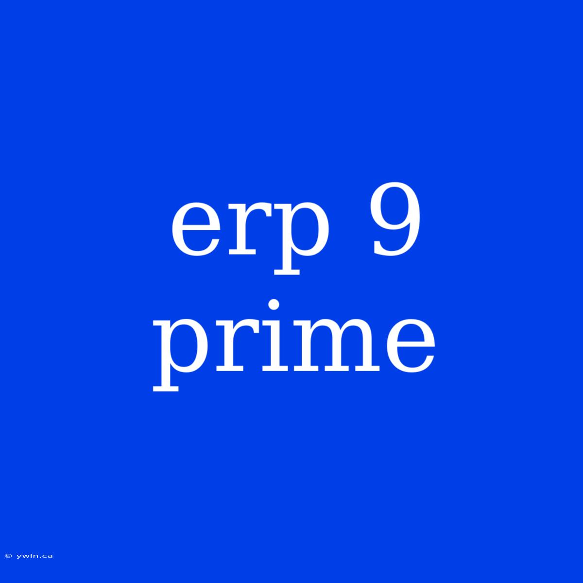 Erp 9 Prime