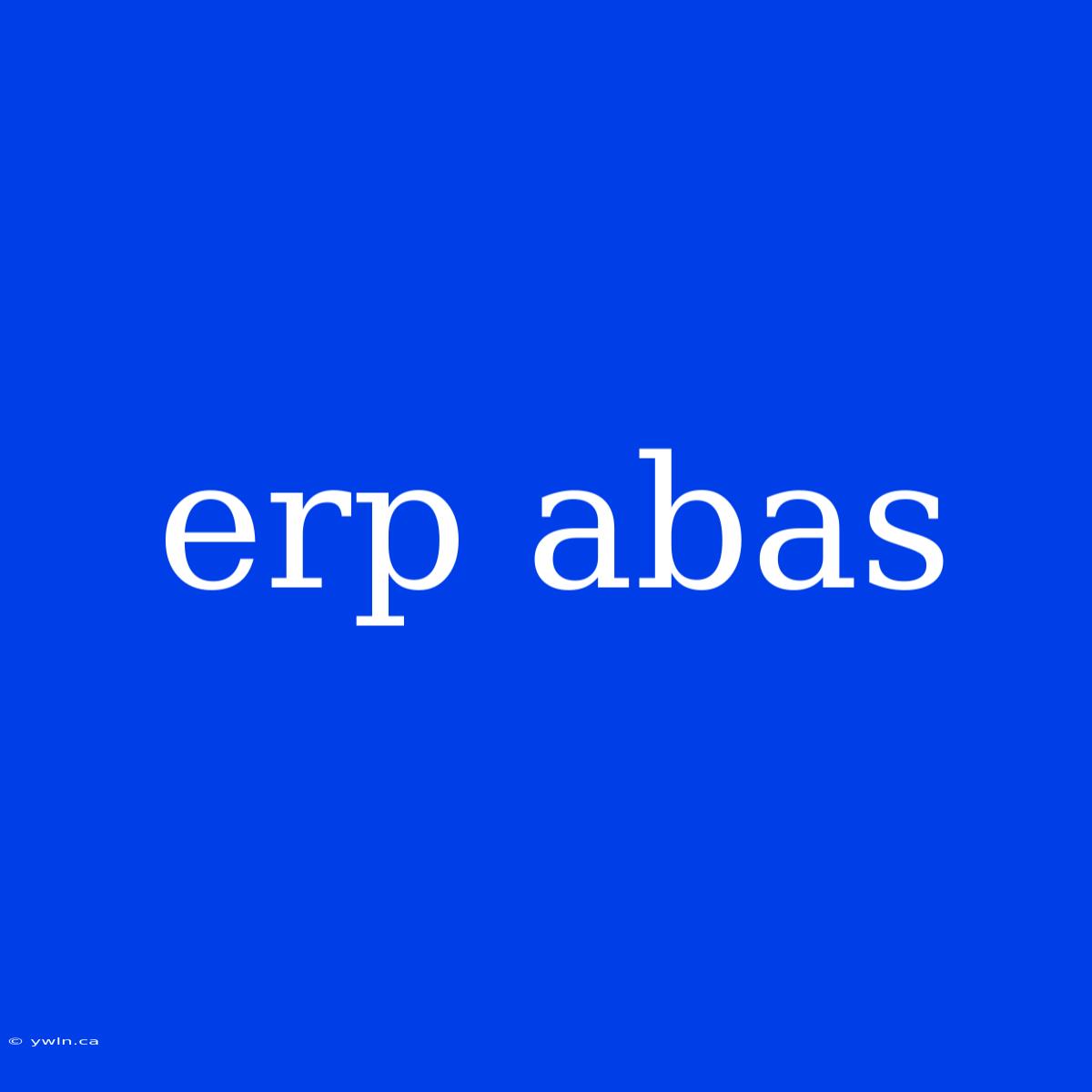 Erp Abas