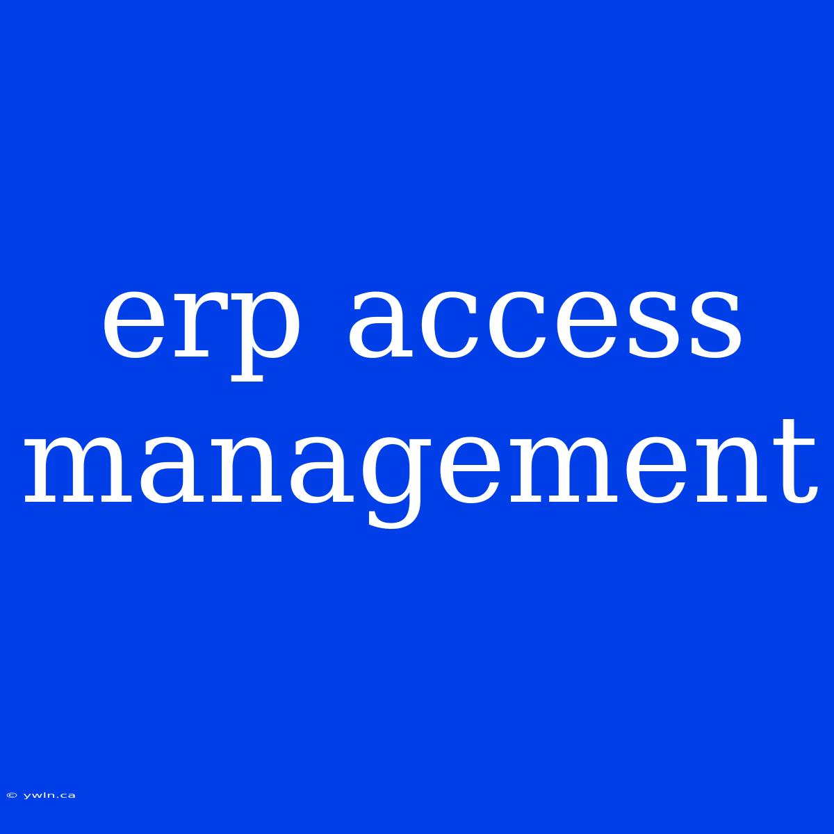 Erp Access Management