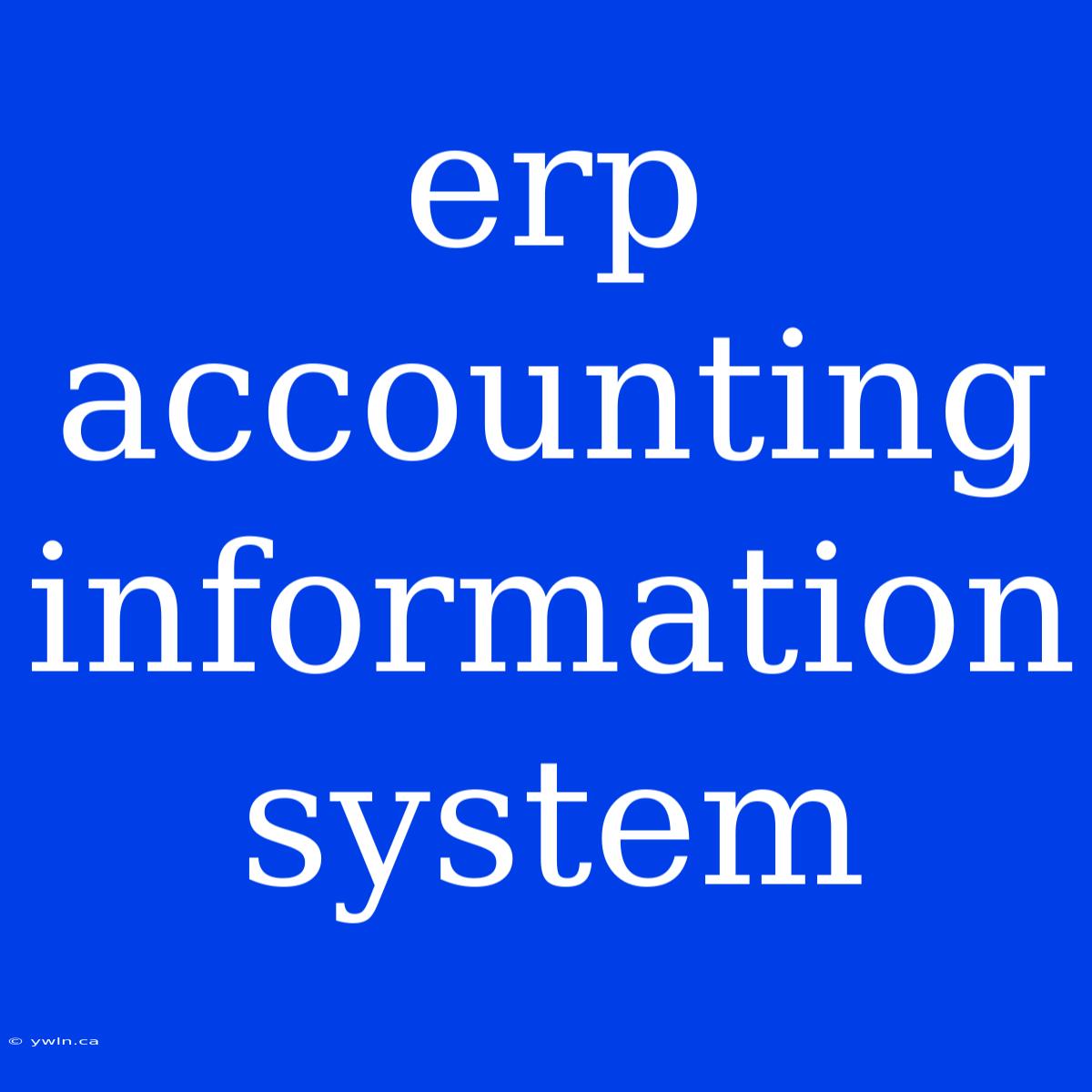 Erp Accounting Information System