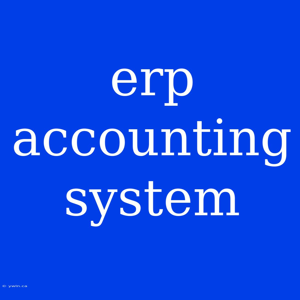 Erp Accounting System