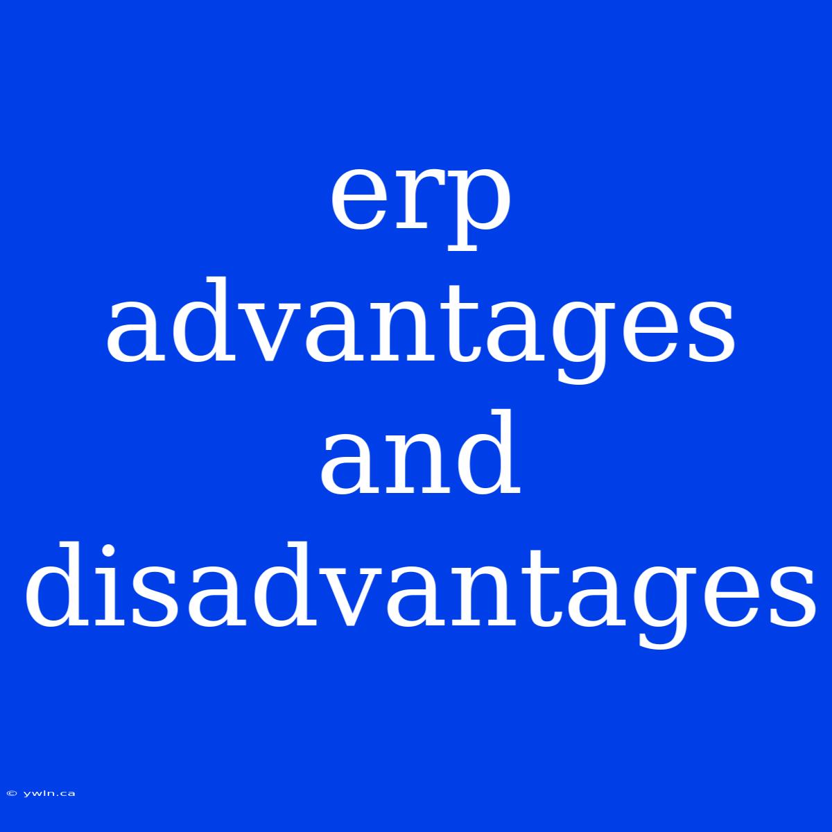 Erp Advantages And Disadvantages