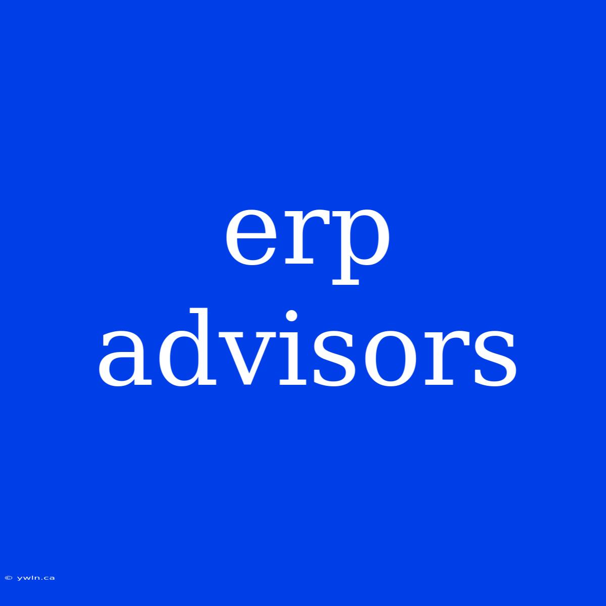 Erp Advisors