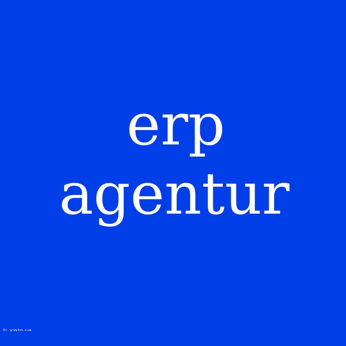 Erp Agentur