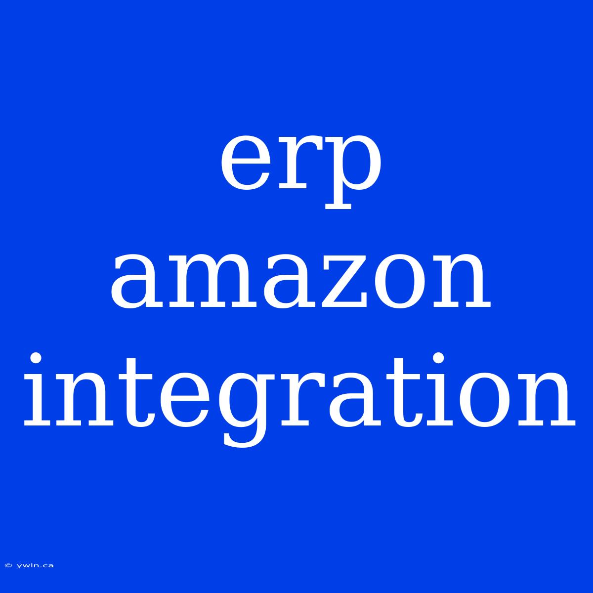 Erp Amazon Integration