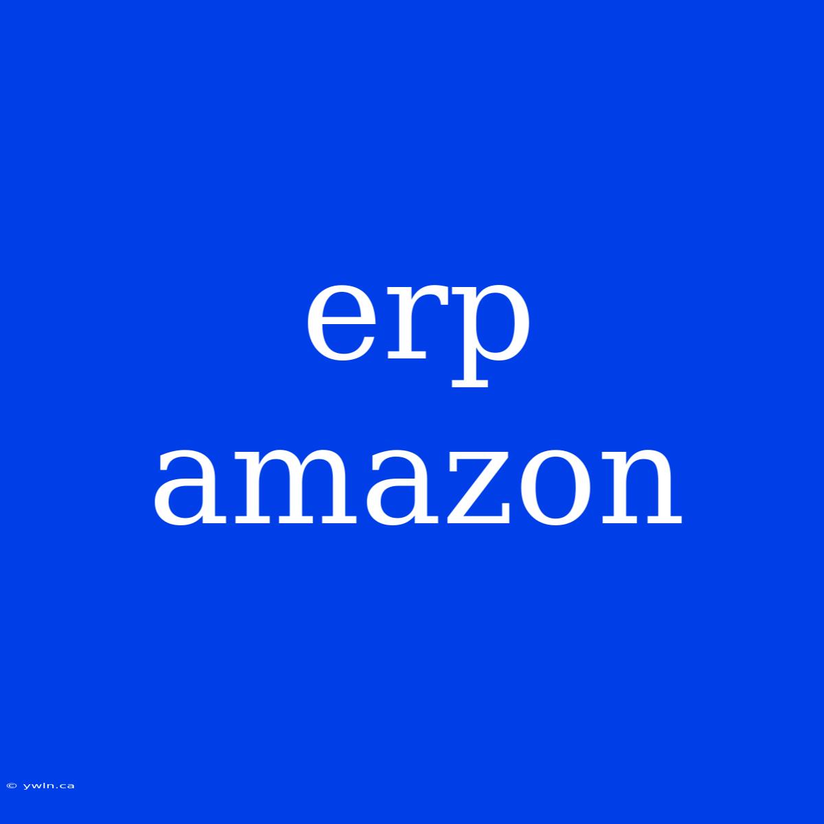 Erp Amazon