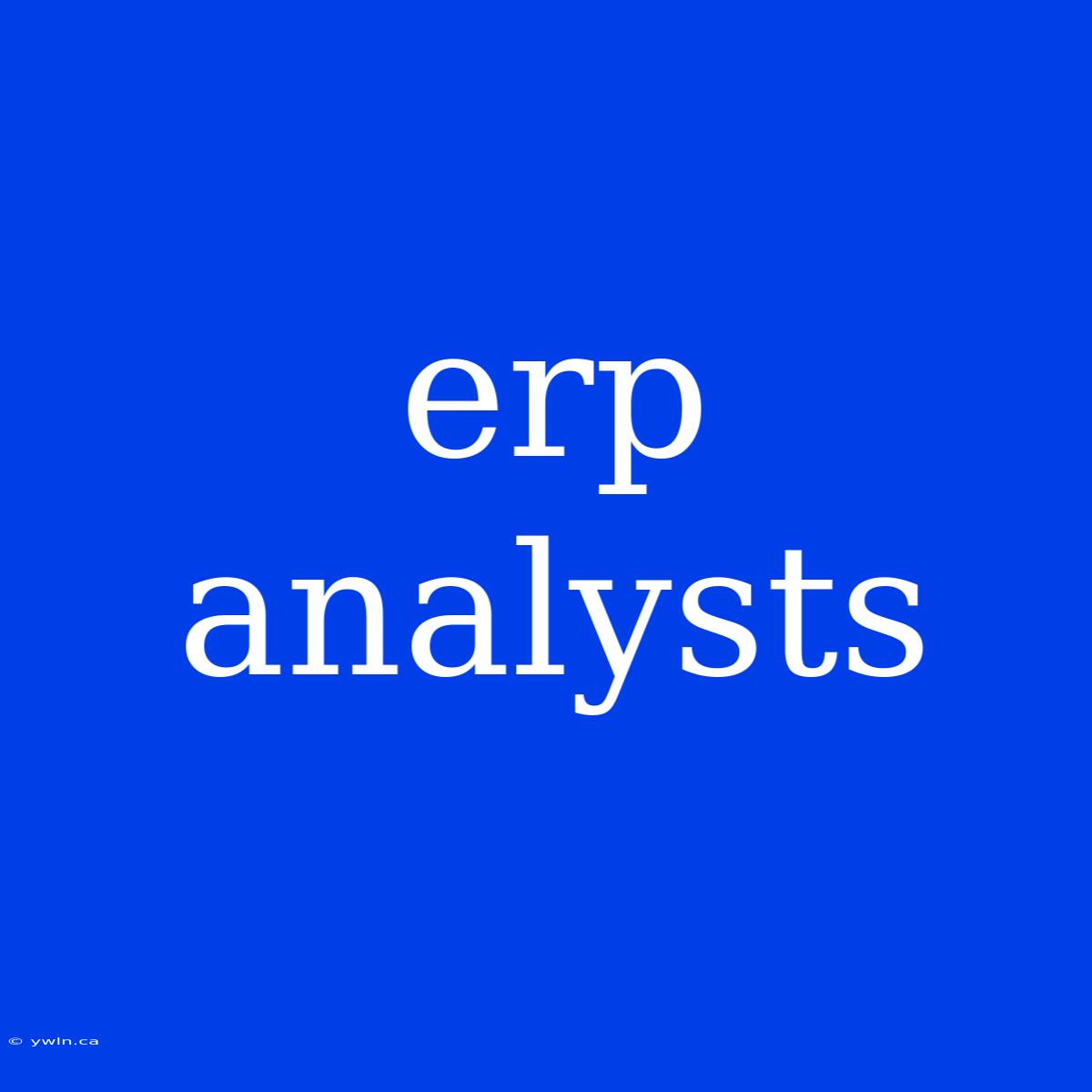 Erp Analysts