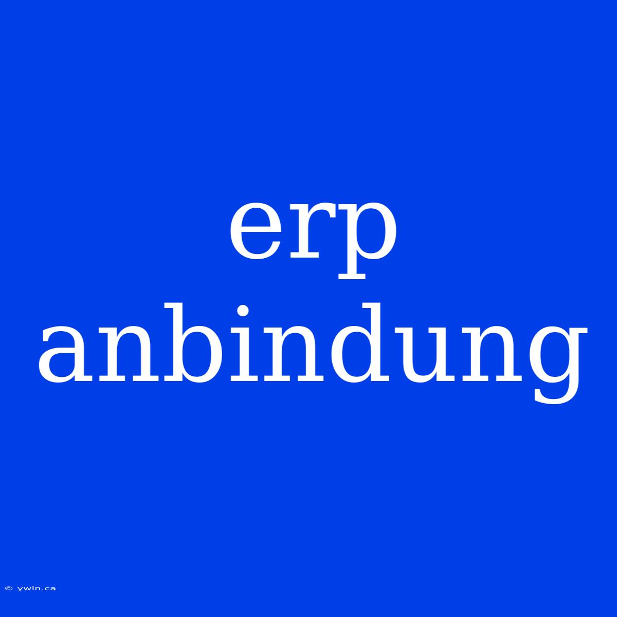 Erp Anbindung