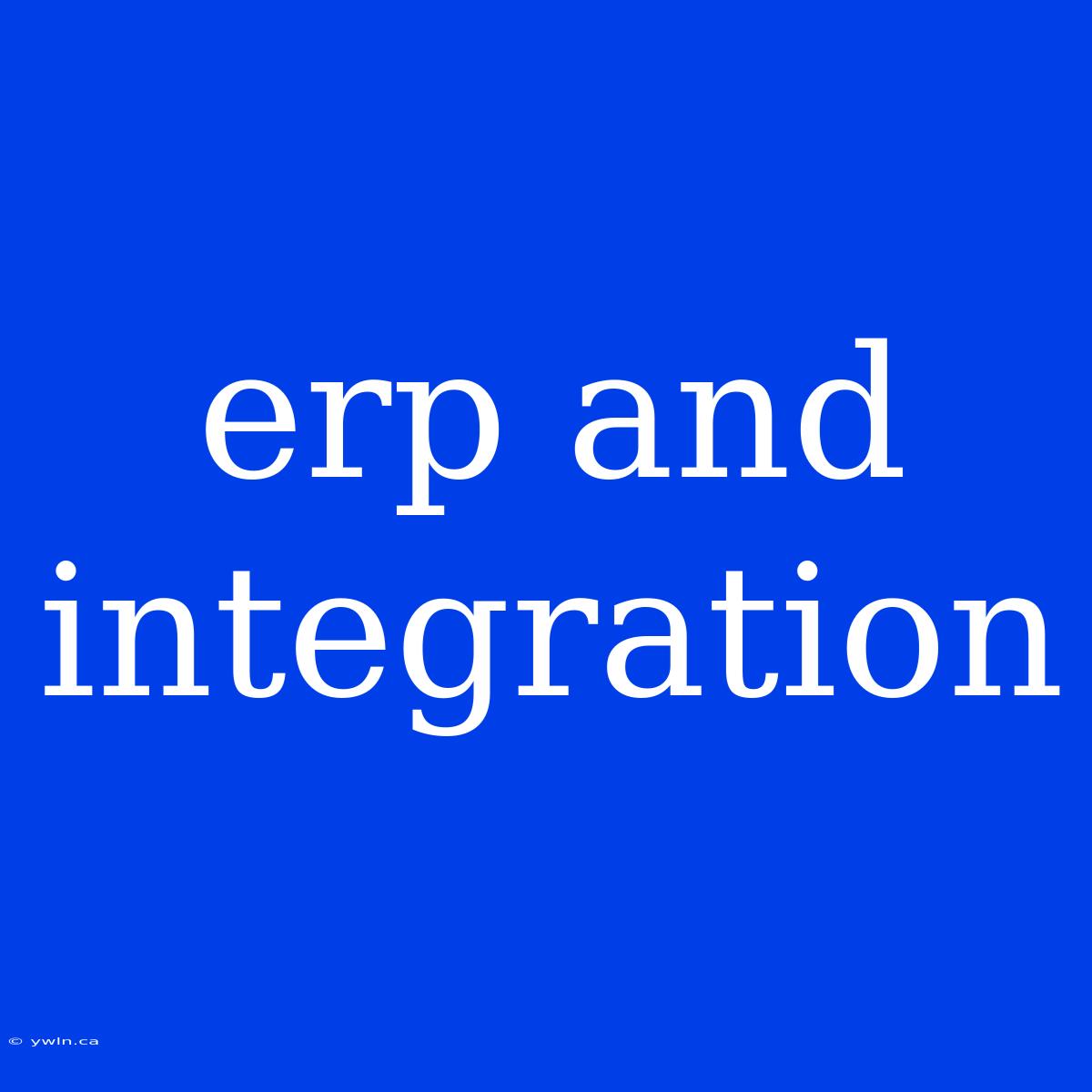 Erp And Integration