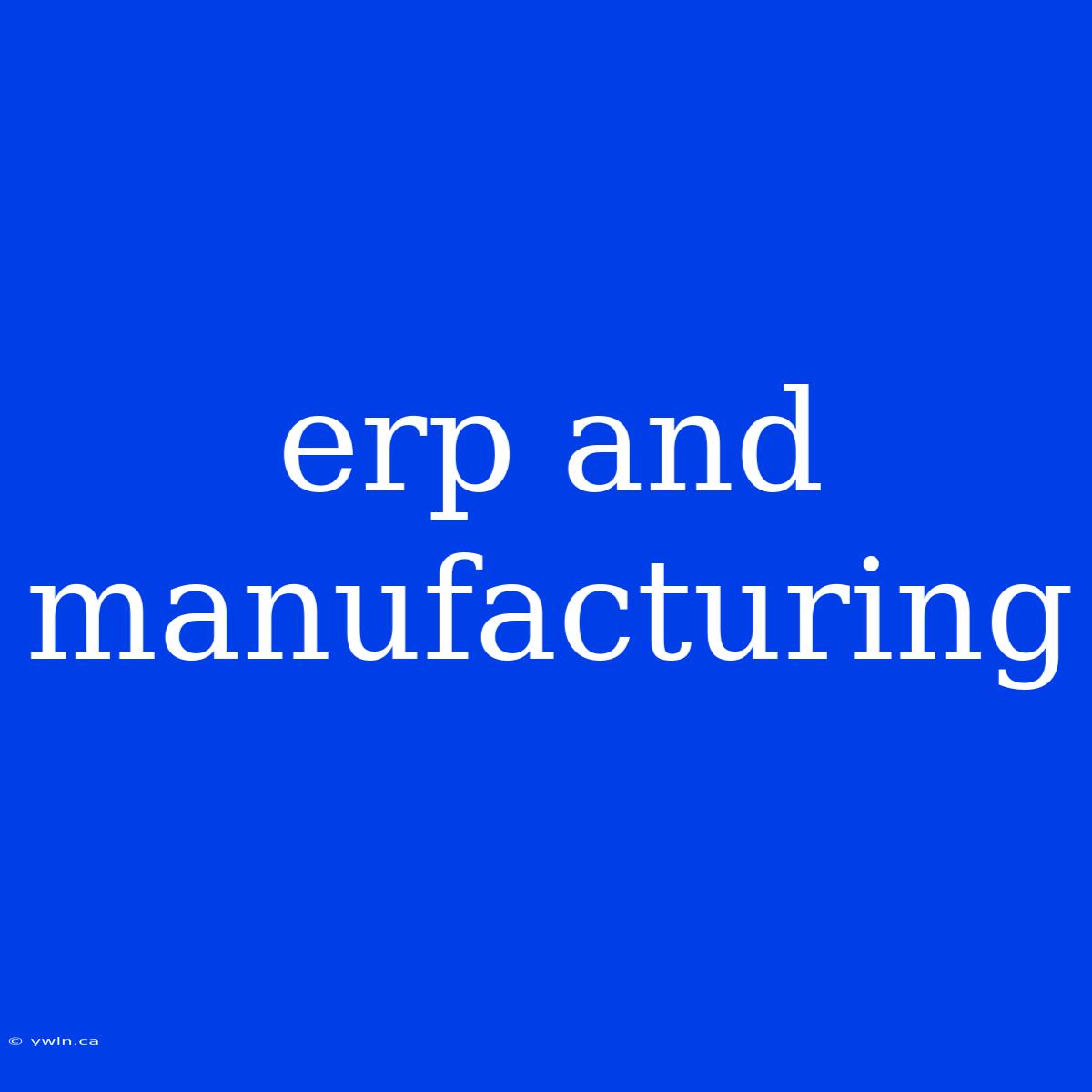 Erp And Manufacturing