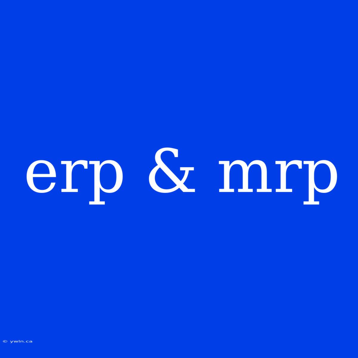 Erp & Mrp