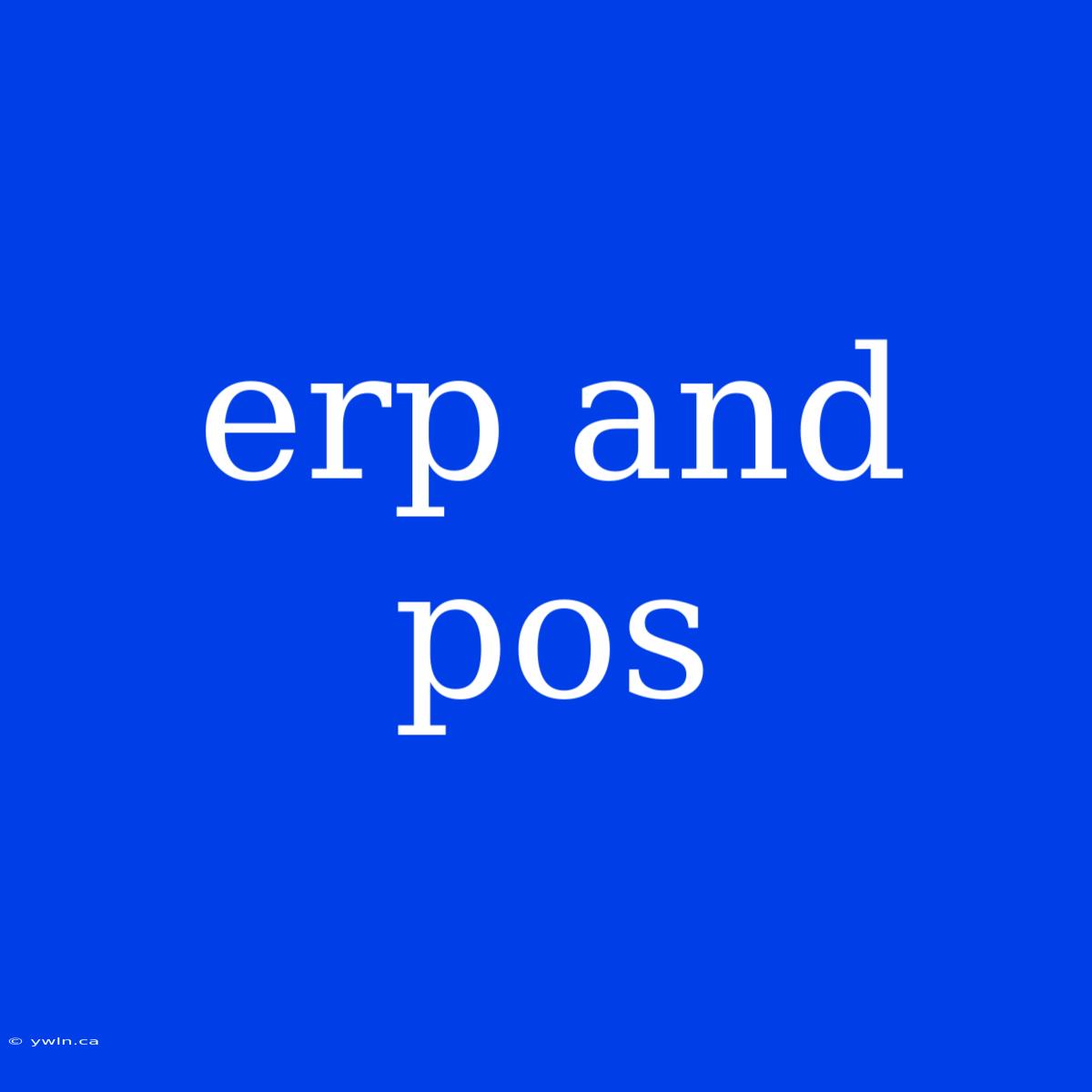 Erp And Pos