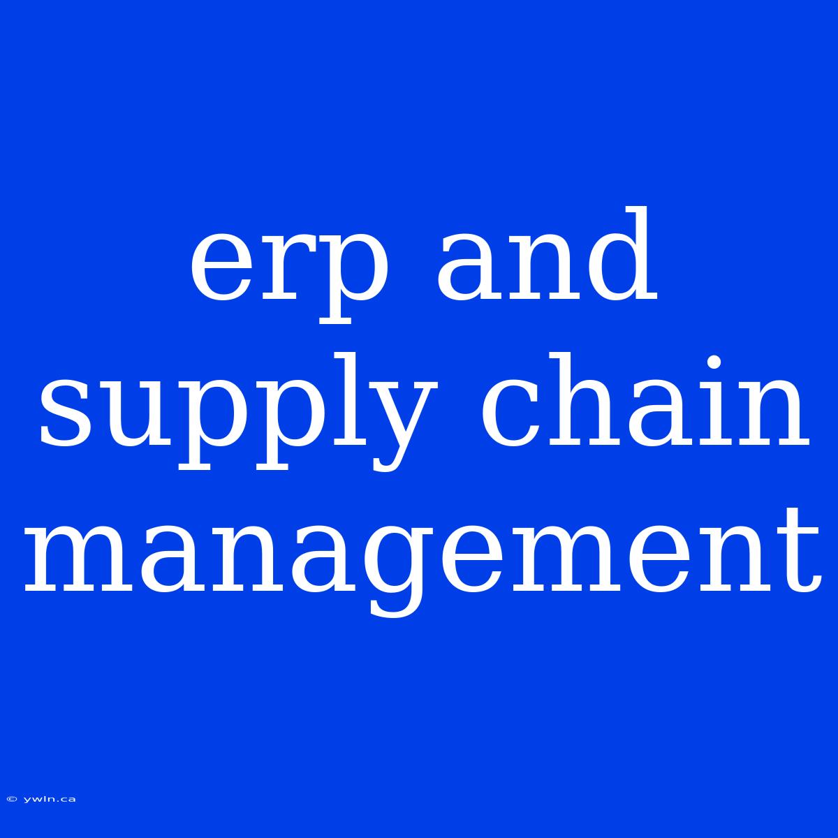 Erp And Supply Chain Management