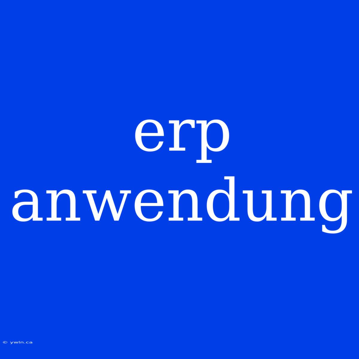 Erp Anwendung