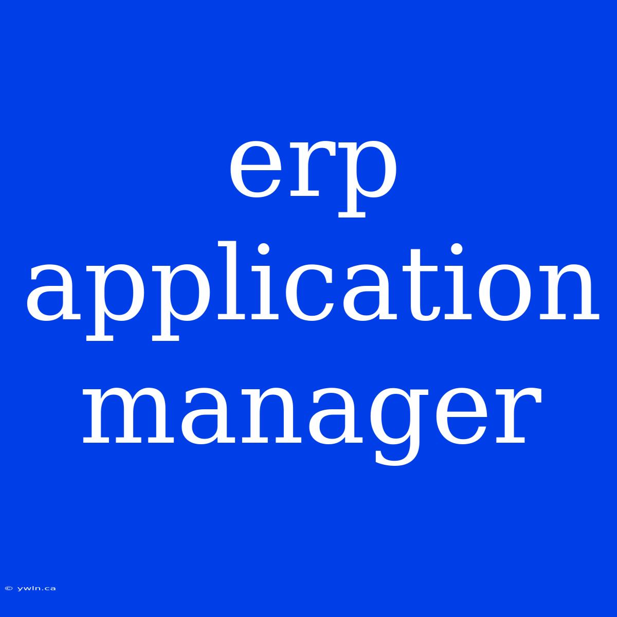 Erp Application Manager