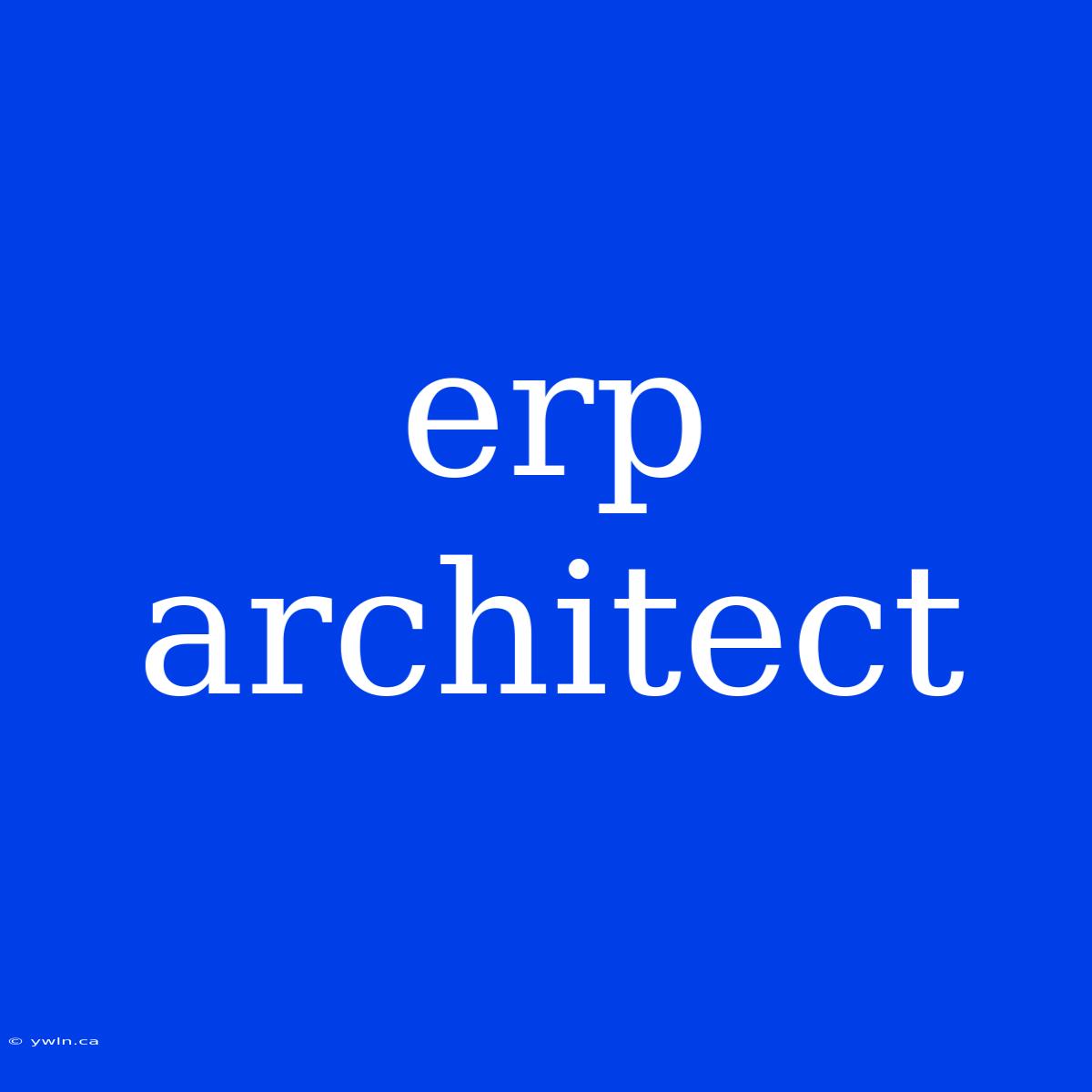 Erp Architect